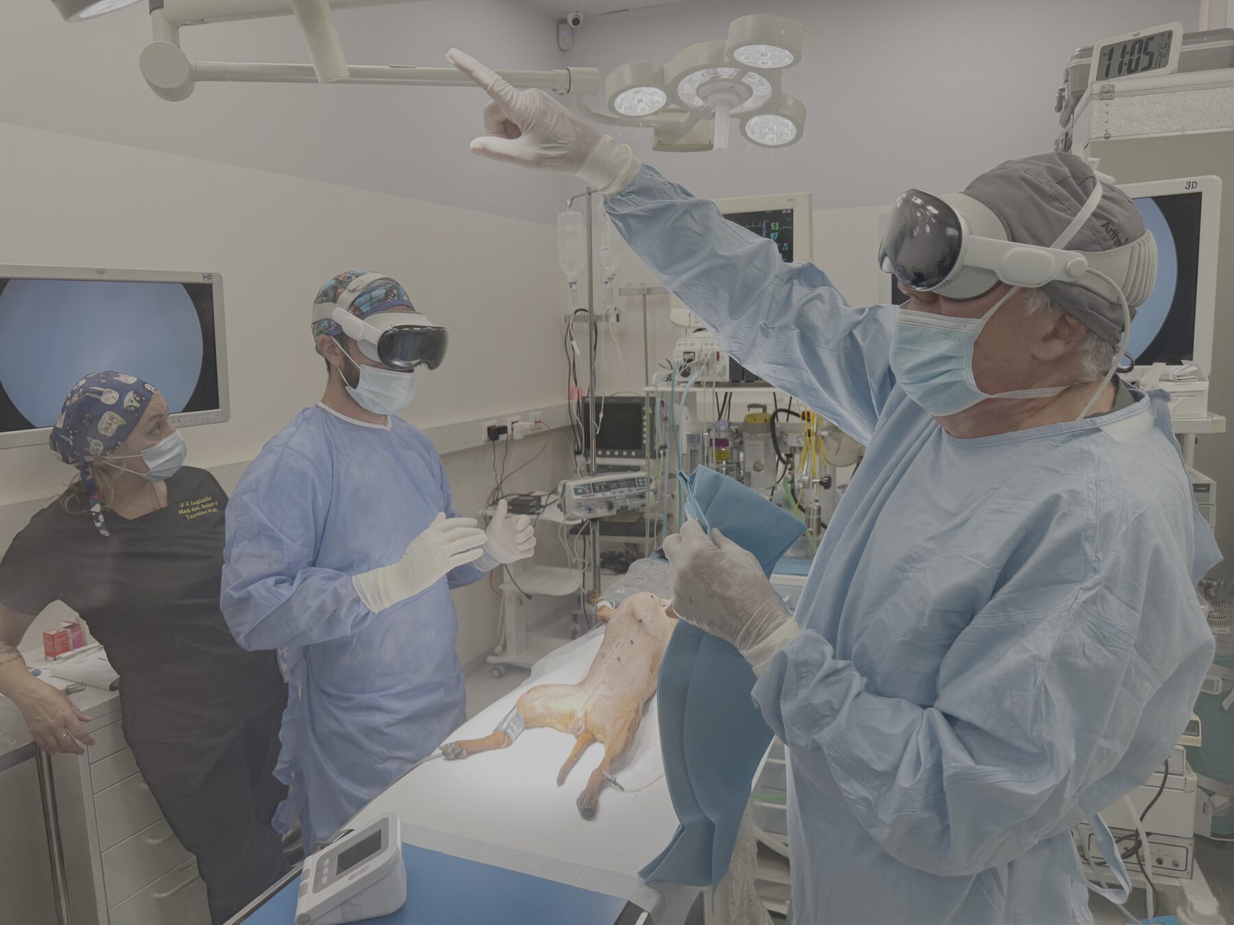 Intervento di laparoscopia veterinaria con Apple Vision Pro
